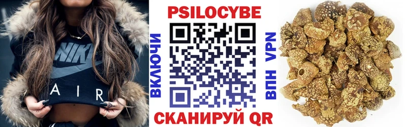 Псилоцибиновые грибы Psilocybe  Минусинск 